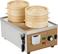 AETEREOS Elektrische Dampfgarer, 2000 W, 3000 W, 4000 W, 6 L, Verdickter Edelstahl, Silber